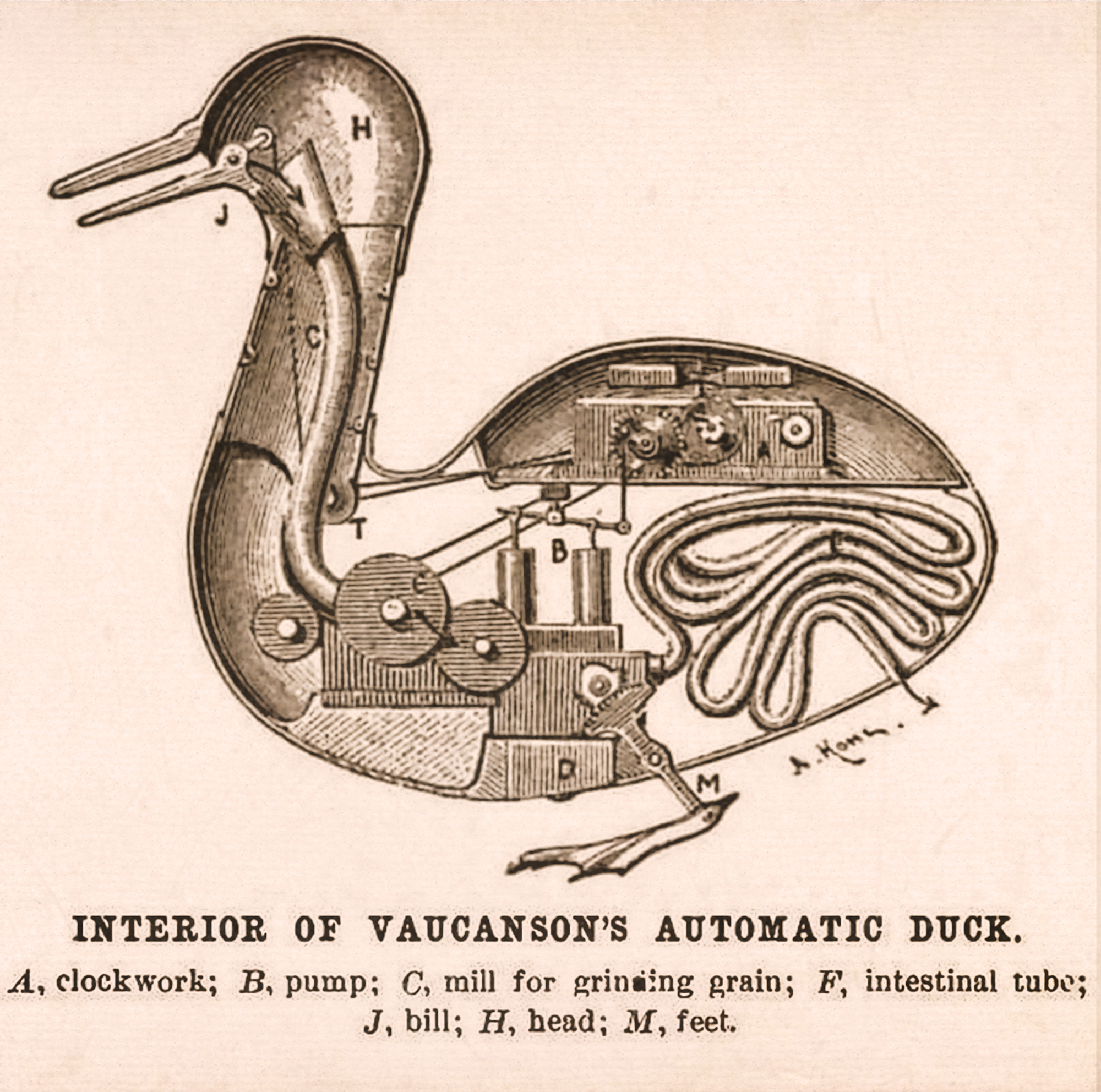 The Interior of Vaucanson's Automatic Duck