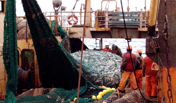 Fisherman haul in the fish they've caught with an enormous net on a cloudy day.