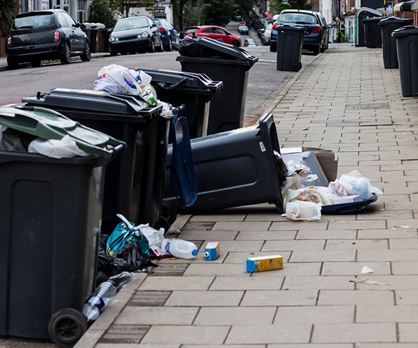 Bins overflowing with waste with one tipped over onto the pavement nearby
